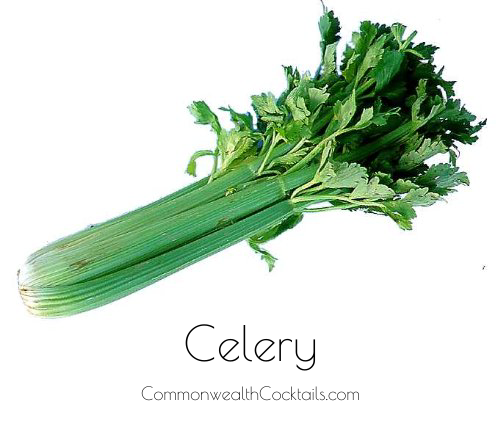 Celery (labeled)