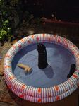 bar_07_bottles-chilling-inflatable-pool.jpg